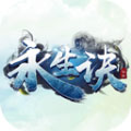 永生诀游戏安装包