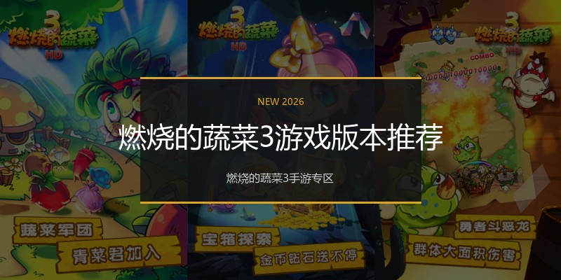 燃烧的蔬菜3游戏版本推荐