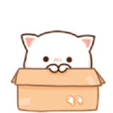 流行小说城免费版