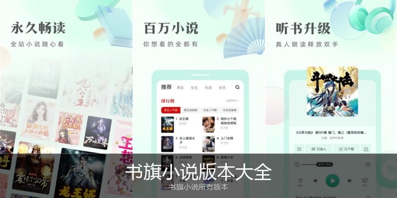 书旗小说版本大全
