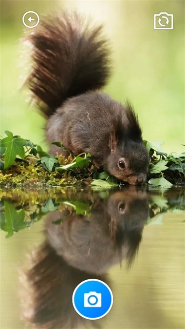 锦绣实用宝匣官方版图3