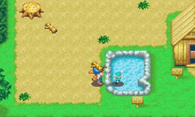 牧场物语精灵驿站最新版图1