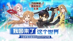 刀剑神域黑衣剑士王牌游戏绿色版图1
