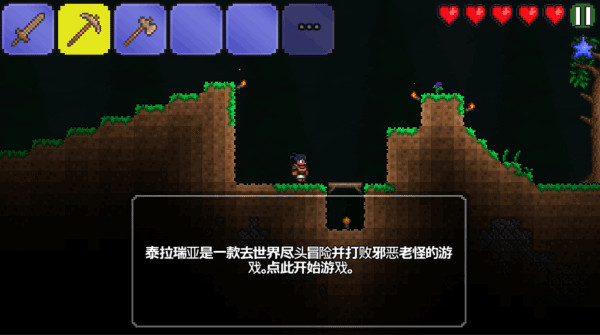 泰拉瑞亚游戏完整版(3)
