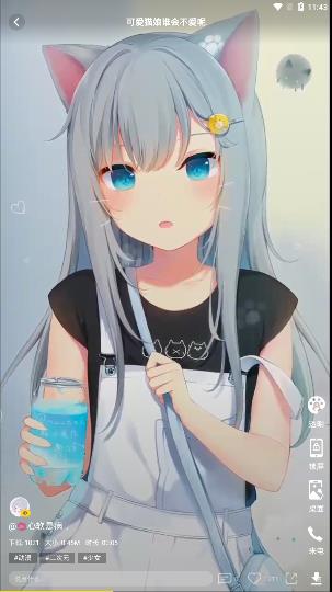 熊猫动态壁纸最新免费版图1