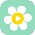 雏菊影视官方最新版