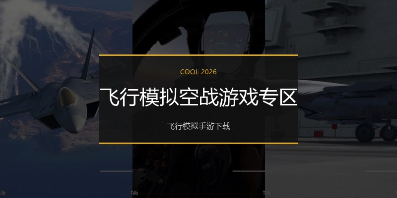 飞行模拟空战游戏专区