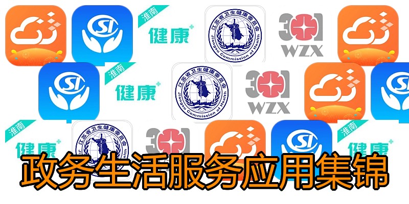 政务生活服务应用集锦