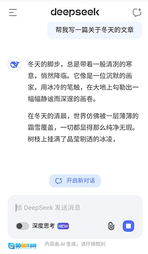 deepseeker2图9