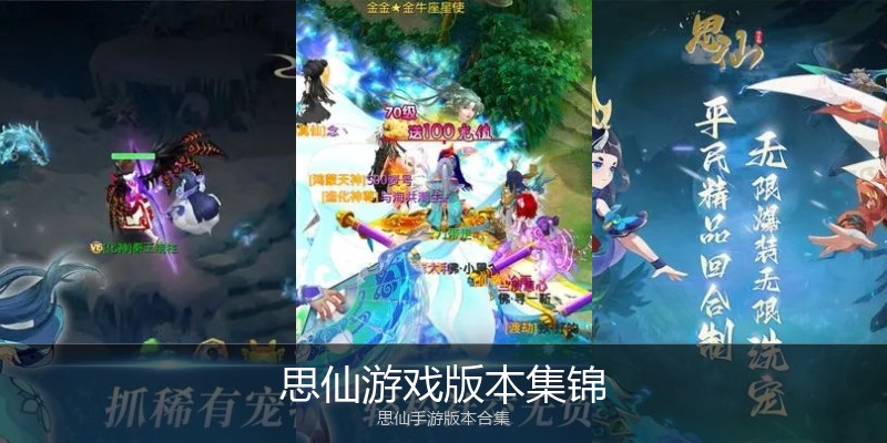 思仙游戏版本集锦