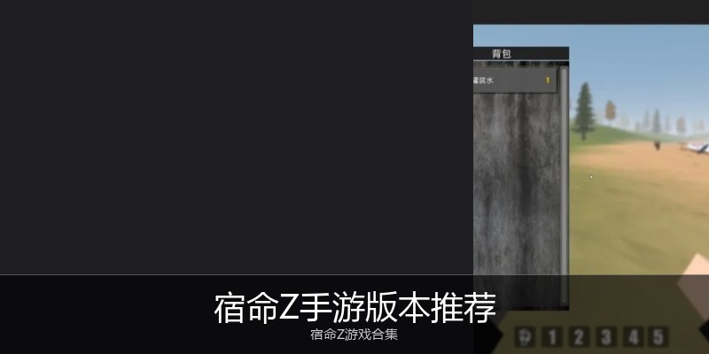 宿命Z手游版本推荐