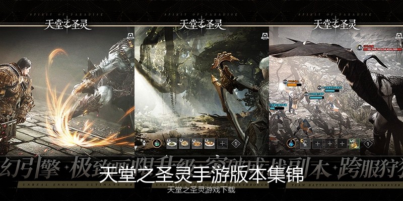 天堂之圣灵手游版本集锦