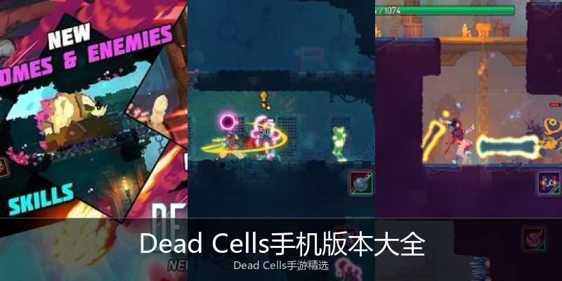 Dead Cells手机版本大全