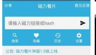 磁力播放器