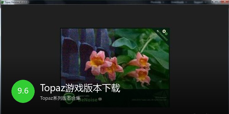 Topaz游戏版本下载