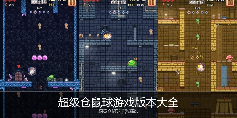 超级仓鼠球游戏版本大全