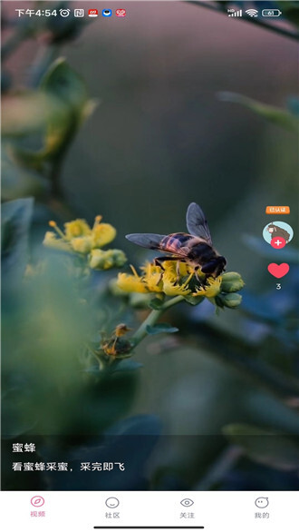 百阅视频正版图4