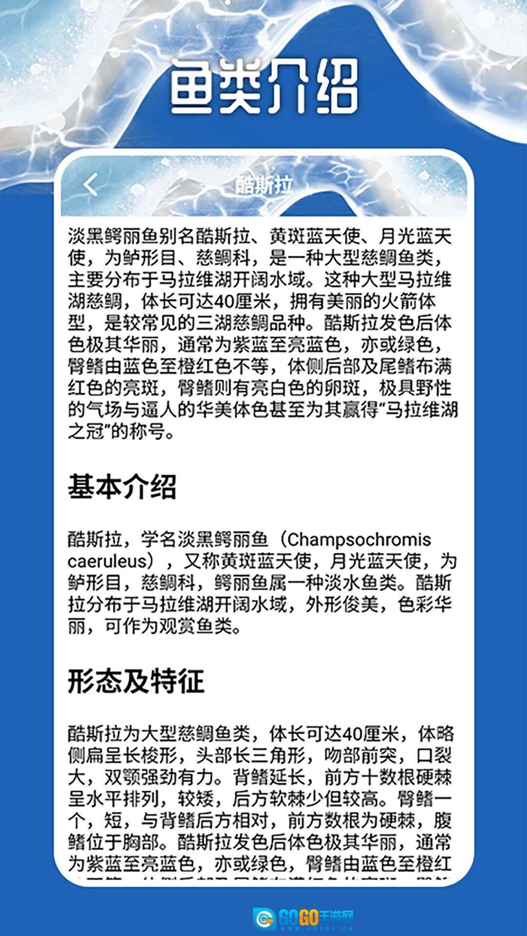 天天钓鱼大师图4