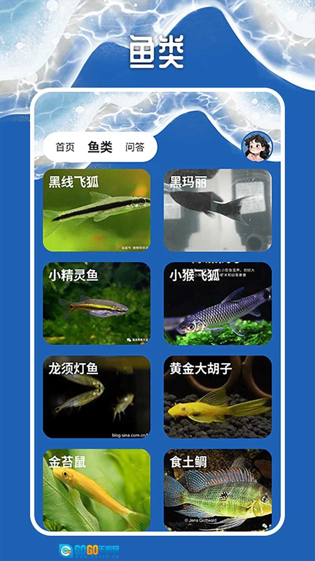 天天钓鱼大师图3