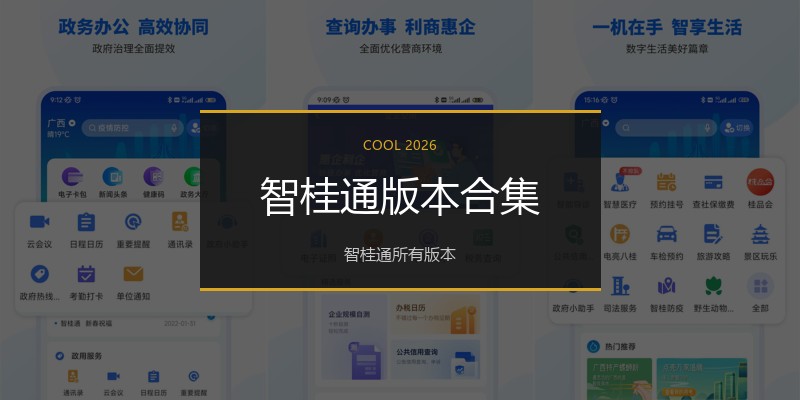 智桂通版本合集