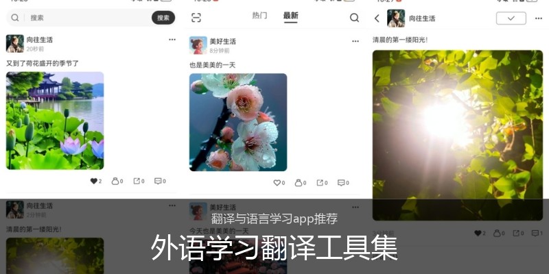 外语学习翻译工具集