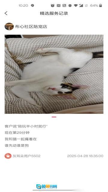 灰耳朵服务端图2