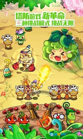 燃烧的蔬菜直装版图4