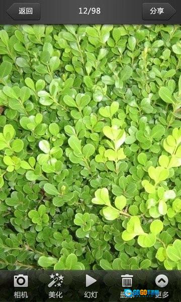 美图看看手机最新版图1