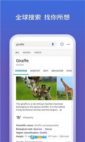 NewBing手机版图1