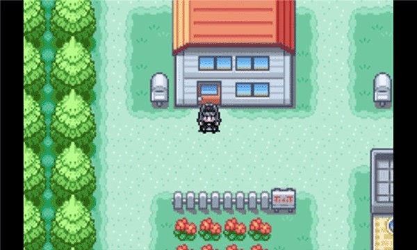 口袋妖怪火红叶绿游戏无广告版图3