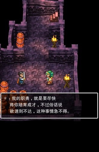 勇者斗恶龙4安卓版图2