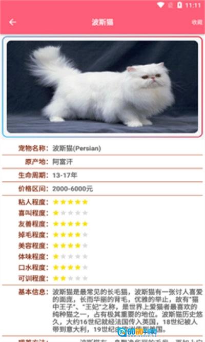 宠物宝宝大全正版图3