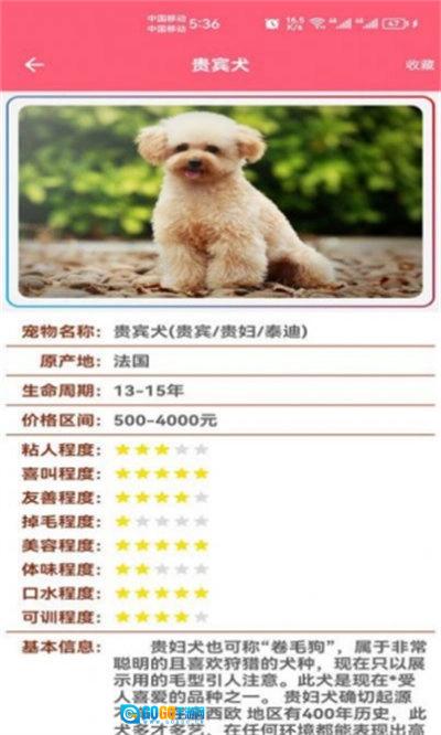 宠物宝宝大全正版图2