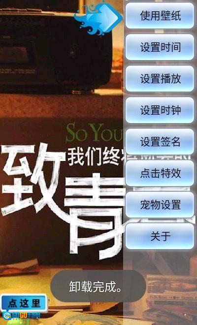 致青春动态壁纸原版图3