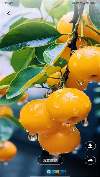 火萤壁纸精选图1