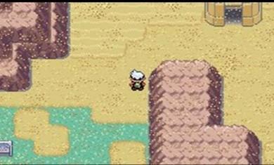 口袋妖怪绿宝石手机版(3)