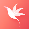 花信手机最新版