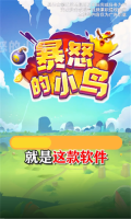 暴怒的小鸟游戏安装包图2