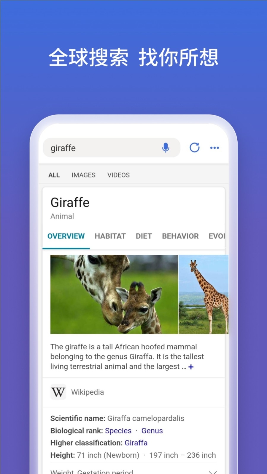 bing搜索引擎国际版(1)