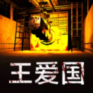 孙美琪疑案王爱国直装游戏版