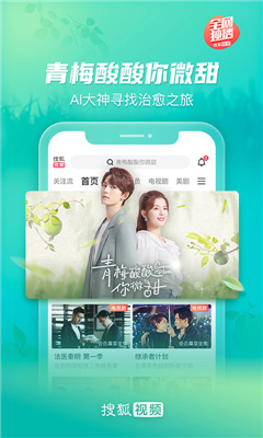搜狐视频无广告版图2: