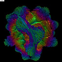 volumeshaderbm官方最新版