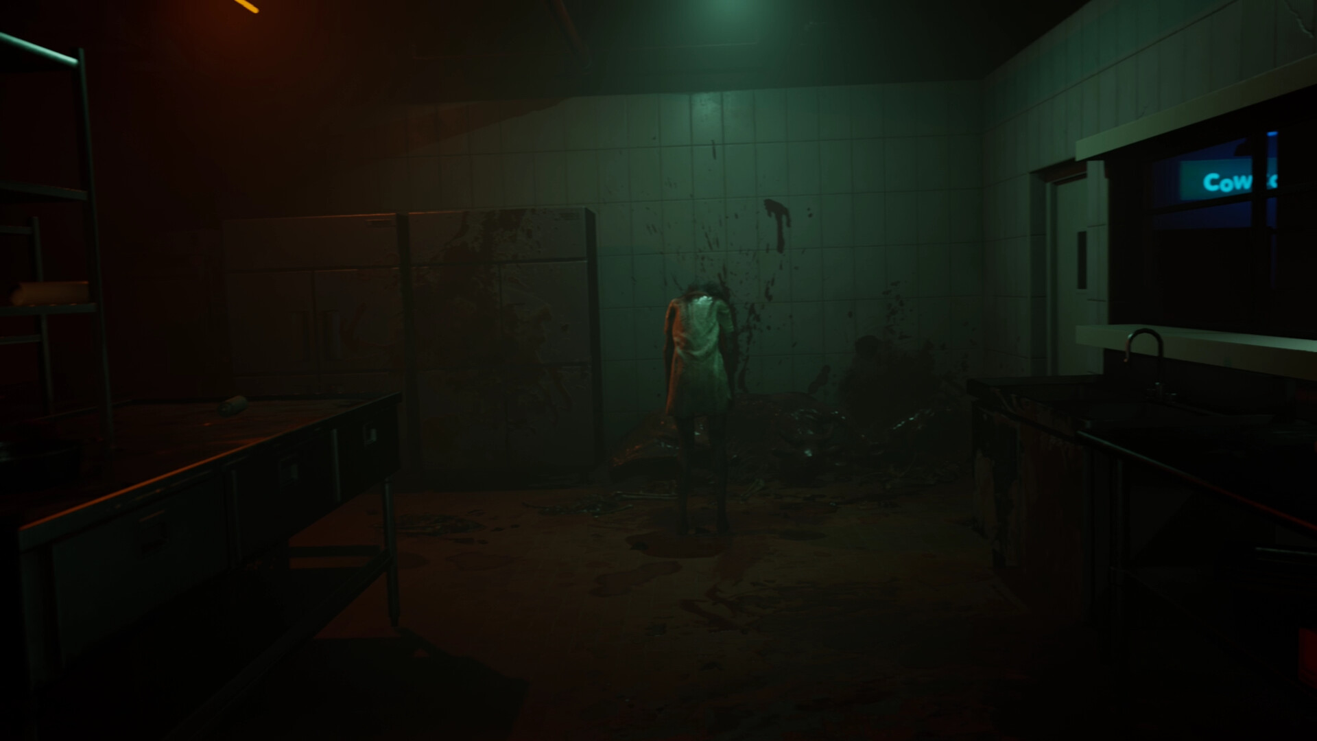 女鬼桥2释魂路(4)