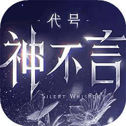 代号神不言