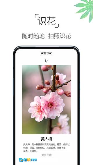 养花大全手机最新版图1