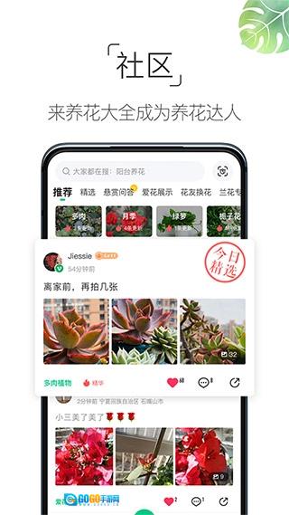 养花大全手机最新版图5
