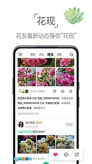 养花大全手机最新版图4