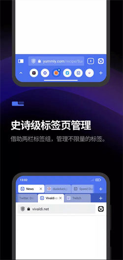 vivaldi浏览器安卓官方版图1