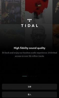 tidal音乐无广告版图2