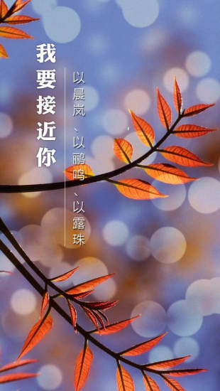 为你写诗安卓官方版图2